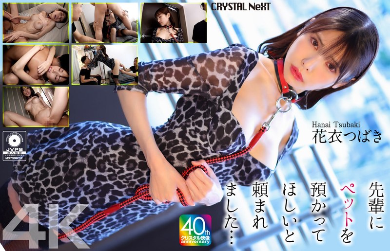 巨乳M女のペットごっこが刺激的！おもちゃや中出しに乱れる極上エロ♡花衣つばき